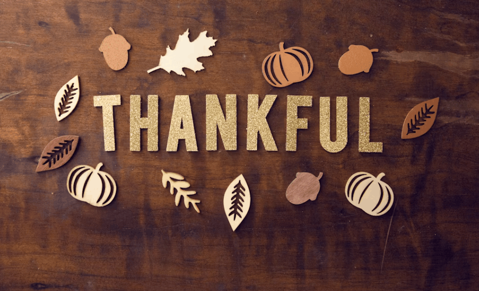 Thanksgiving Travel Survival Guide
